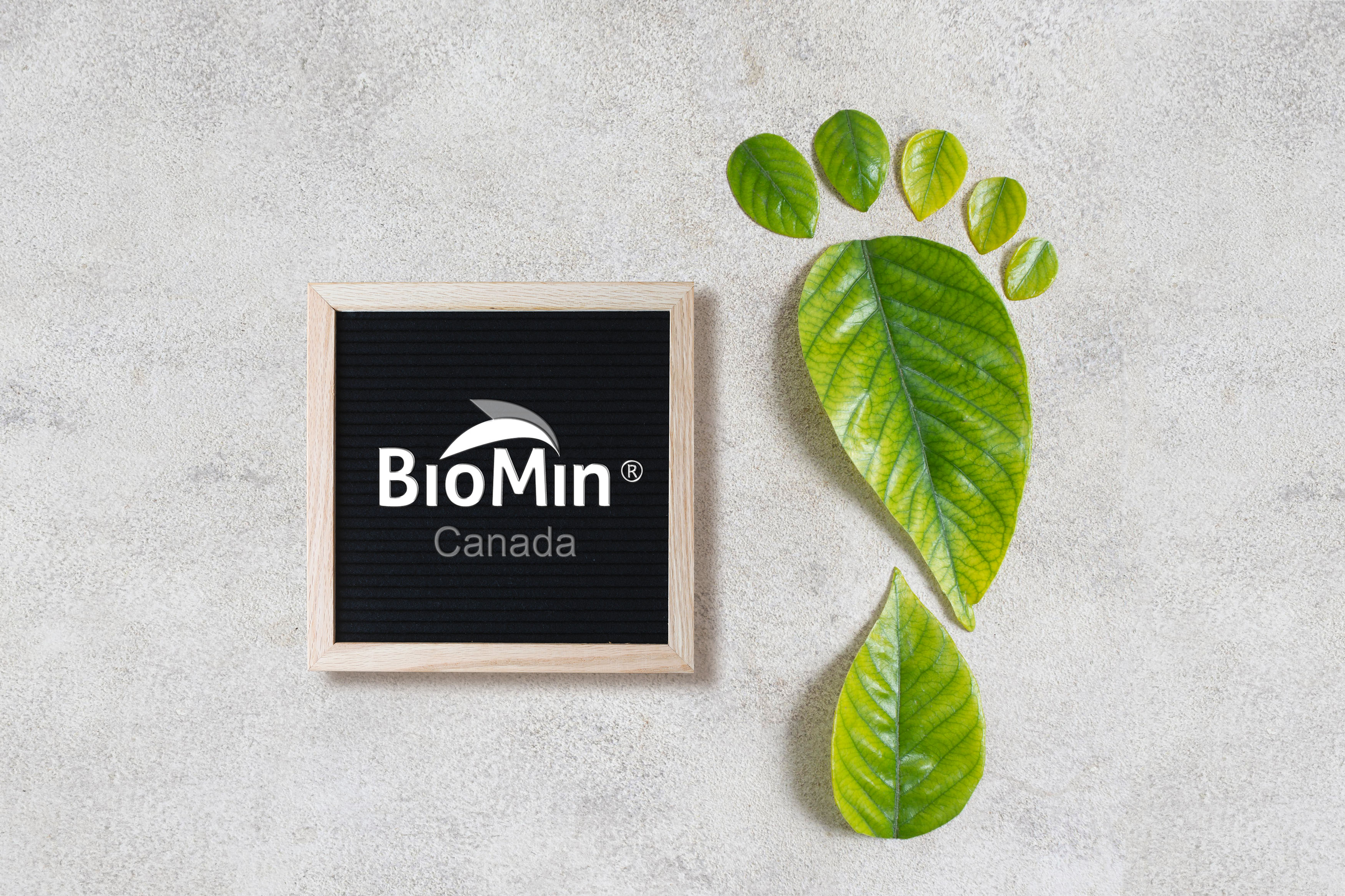 ♻️ 🌱 Eco-Friendly Practices: Minimizing Paper Waste and Maximizing Green Impact at BioMin Canada Store
