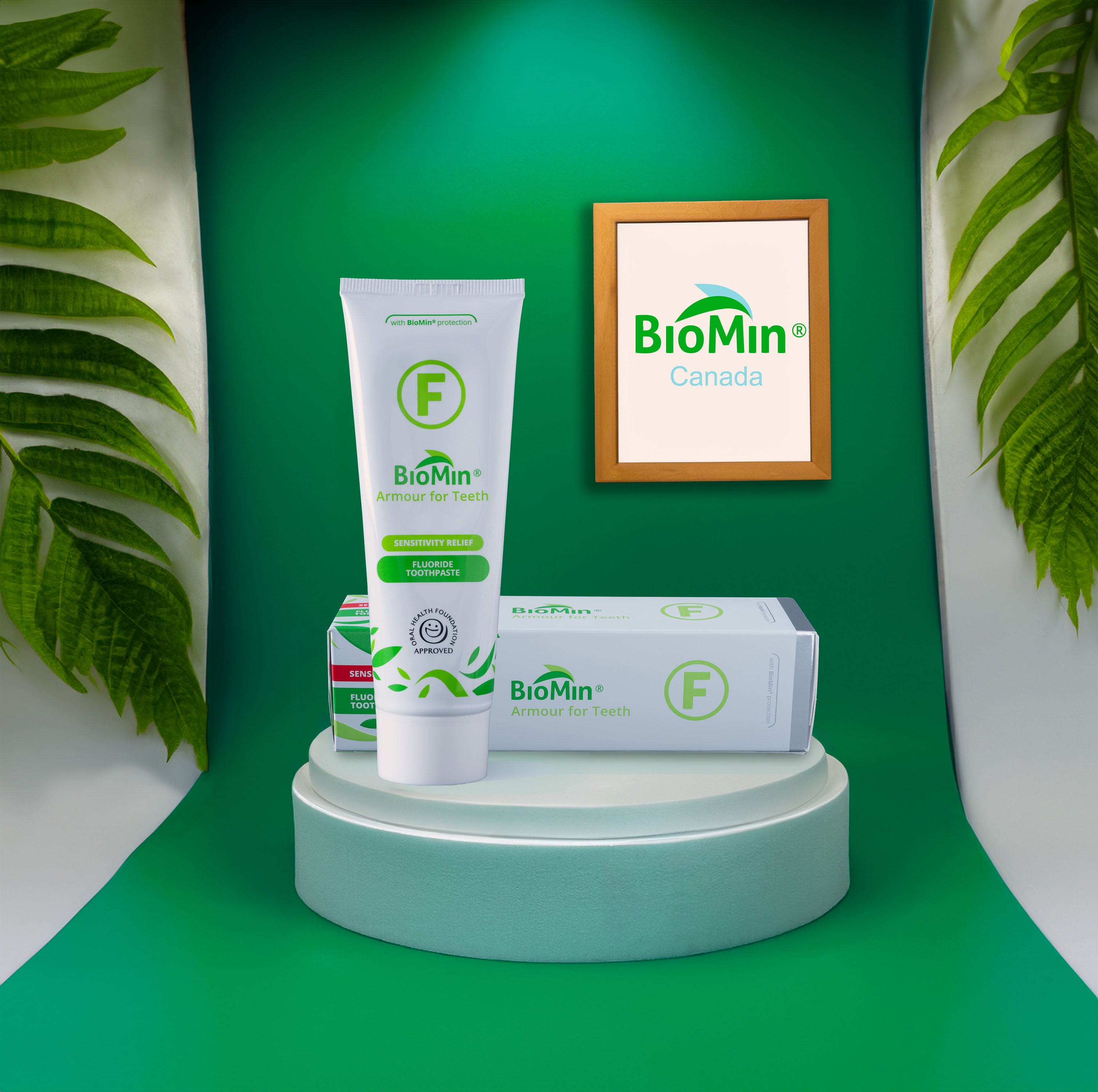 Packs Dentiste BioMin F