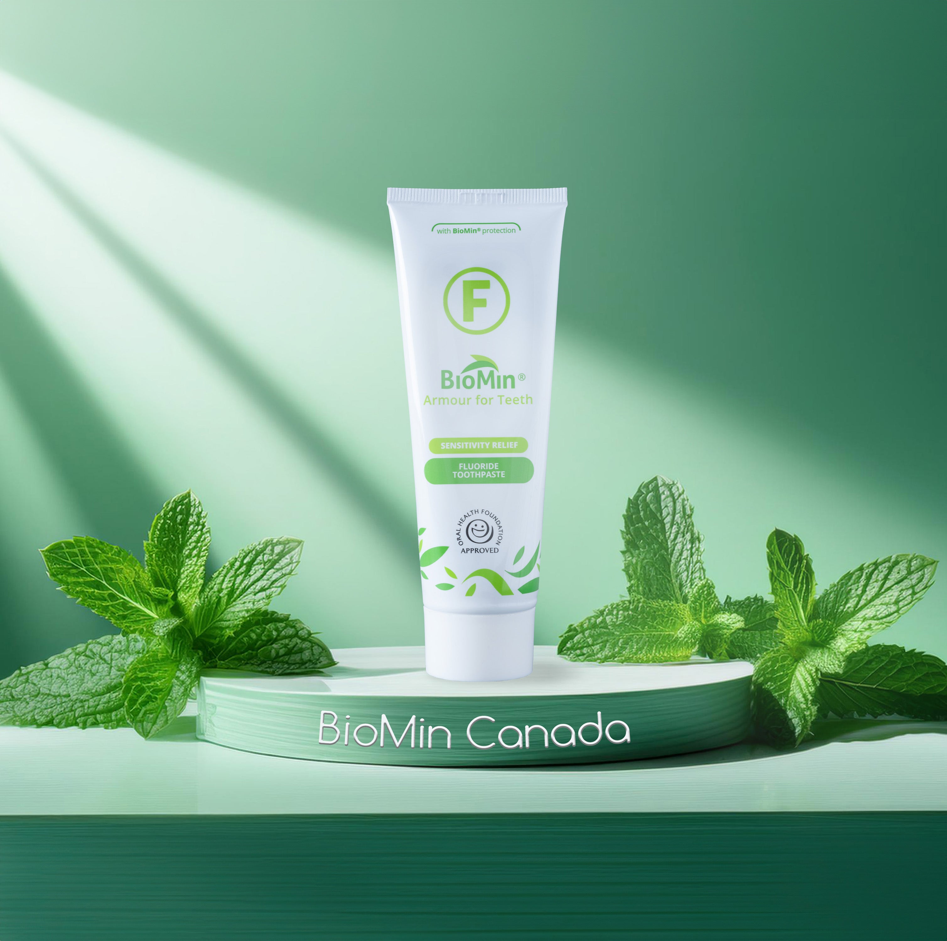BioMin F toothpaste in its sleek tube design, offering advanced remineralization benefits for tooth enamel and long-lasting protection against cavities. A fluoride-based formulation that promotes oral health while maintaining fresh breath