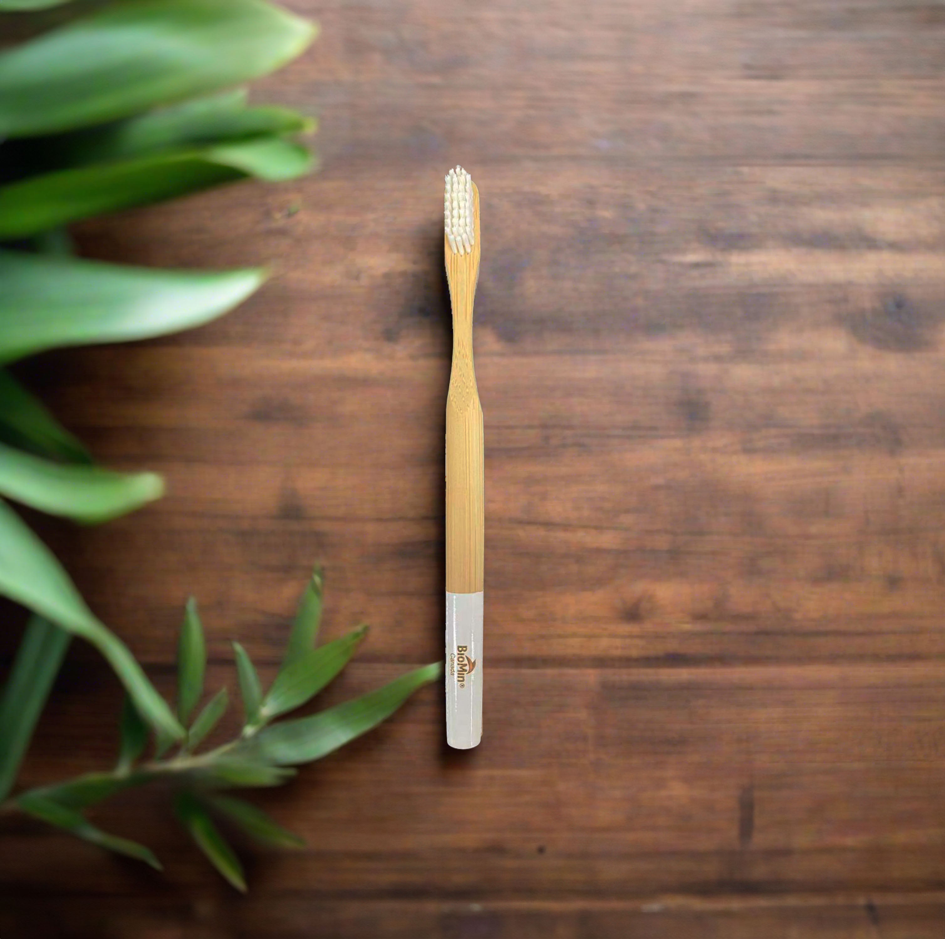 Sustainable Biodegradable Bamboo Toothbrush